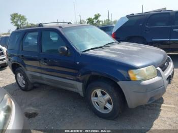  Salvage Ford Escape