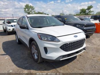  Salvage Ford Escape