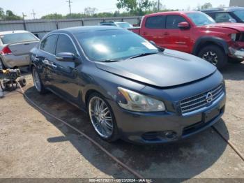  Salvage Nissan Maxima