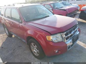  Salvage Ford Escape