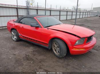  Salvage Ford Mustang