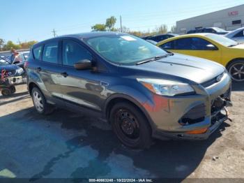  Salvage Ford Escape