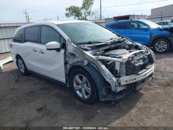  Salvage Honda Odyssey