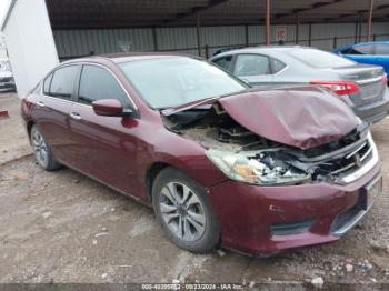  Salvage Honda Accord