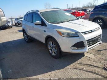  Salvage Ford Escape