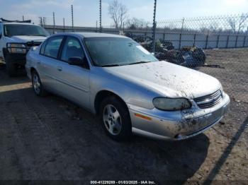  Salvage Chevrolet Classic