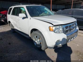  Salvage Ford Escape