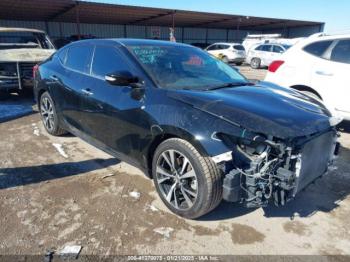  Salvage Nissan Maxima