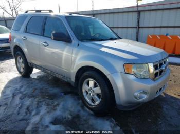  Salvage Ford Escape