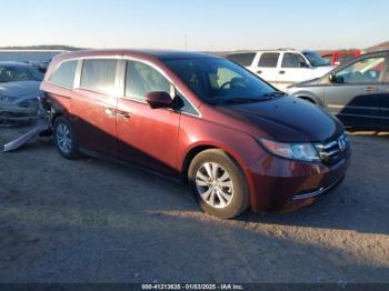  Salvage Honda Odyssey