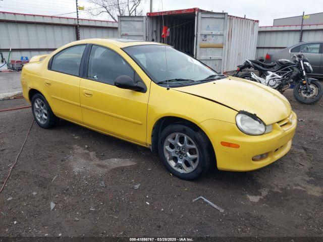  Salvage Dodge Neon