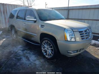  Salvage Cadillac Escalade