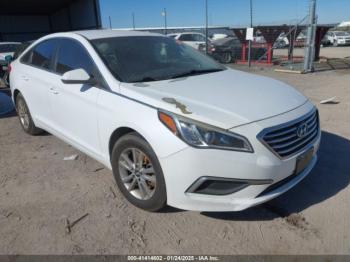  Salvage Hyundai SONATA