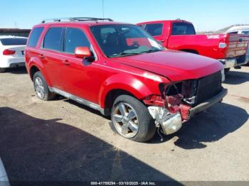  Salvage Ford Escape