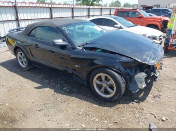  Salvage Ford Mustang