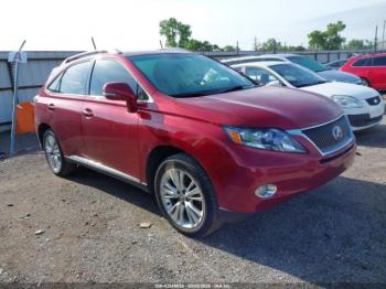  Salvage Lexus RX