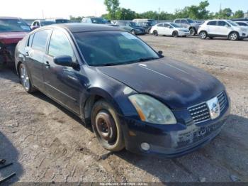  Salvage Nissan Maxima
