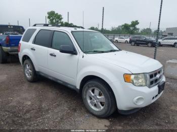 Salvage Ford Escape