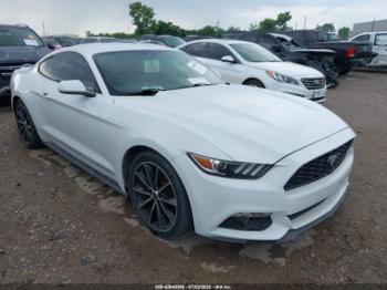  Salvage Ford Mustang