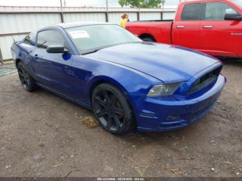  Salvage Ford Mustang