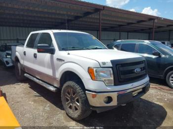  Salvage Ford F-150