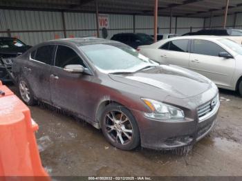  Salvage Nissan Maxima