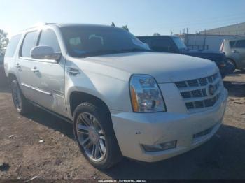  Salvage Cadillac Escalade