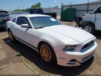  Salvage Ford Mustang