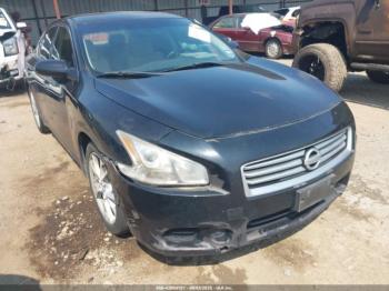  Salvage Nissan Maxima
