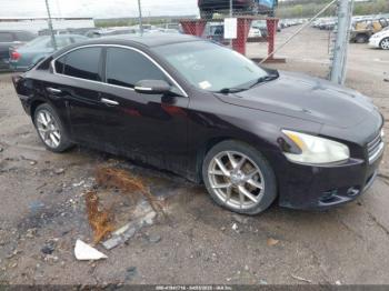  Salvage Nissan Maxima