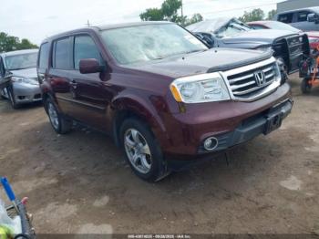  Salvage Honda Pilot