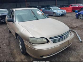  Salvage Chevrolet Classic