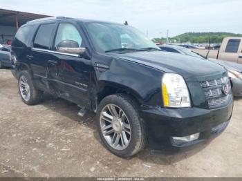  Salvage Cadillac Escalade