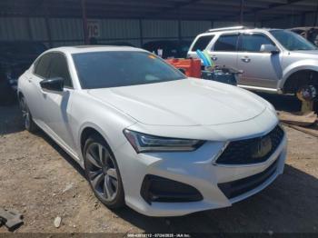  Salvage Acura TLX
