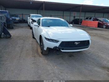  Salvage Ford Mustang