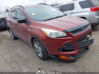  Salvage Ford Escape