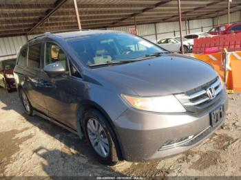  Salvage Honda Odyssey