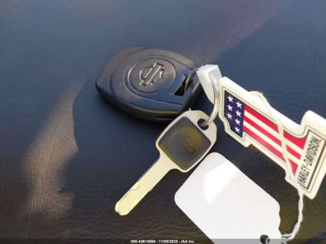 Harley-Davidson Flstfi Image 7