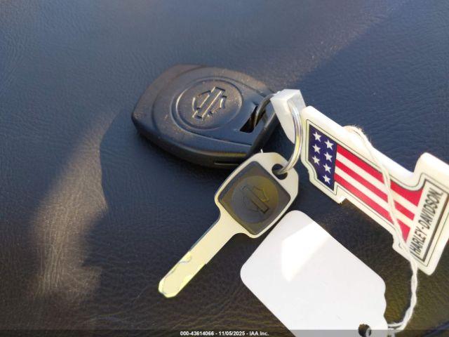 Harley-Davidson Flstfi Image 7