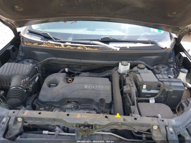 Chevrolet Equinox Lt Image 8