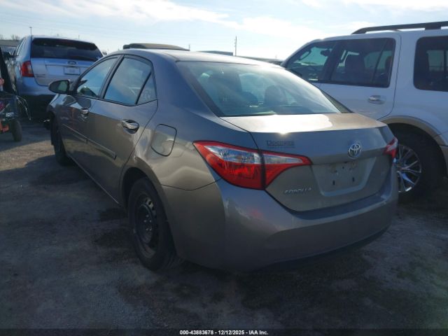 Toyota Corolla Le Image 7