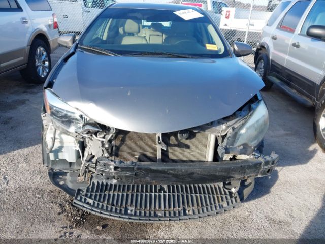 Toyota Corolla Le Image 5