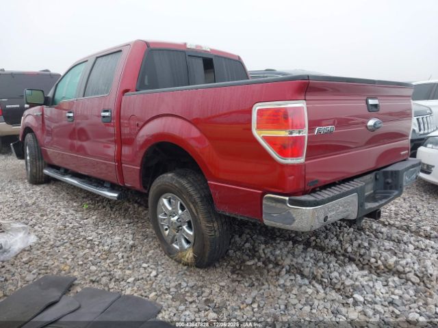 Ford F-150 Xlt Image 3