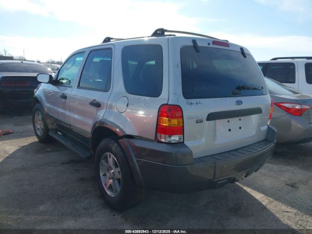 Ford Escape Xlt Image 2