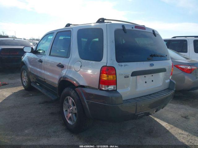 Ford Escape Xlt Image 2