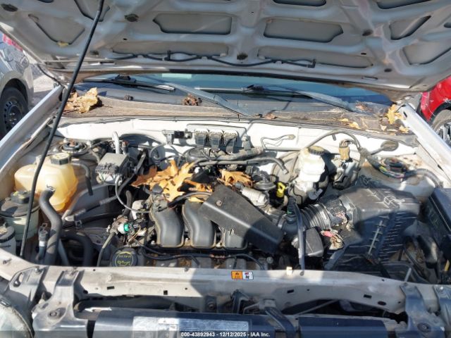 Ford Escape Xlt Image 6