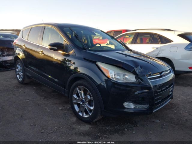 Ford Escape Sel Image 17