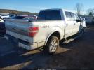 Ford F-150 Platinum Image 14