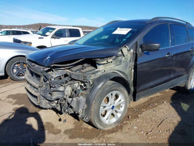 Ford Escape Sel Image 9