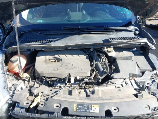 Ford Escape Sel Image 6